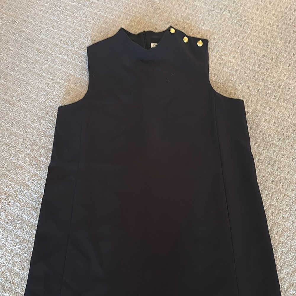 Zara sleeveless mod dress with gold hardware